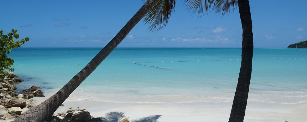 Caribbean Beaches